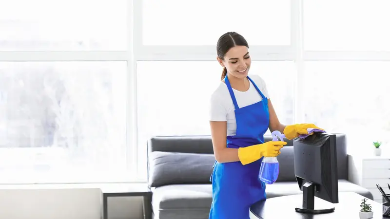 Professional cleaners