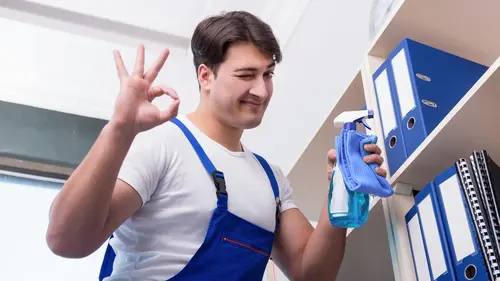 Professional cleaners