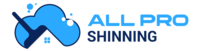 All Pro Shinning