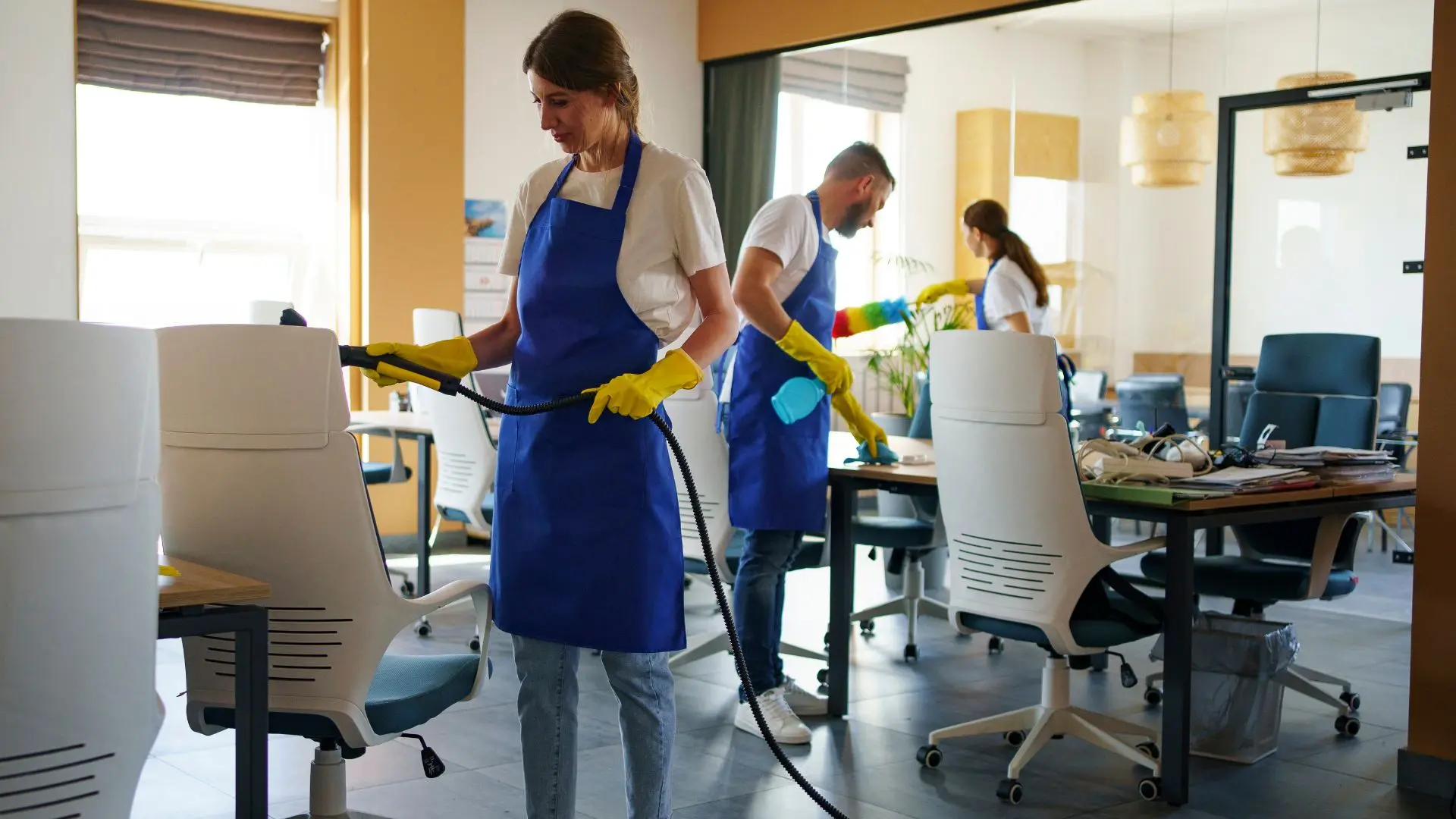 Professional cleaners