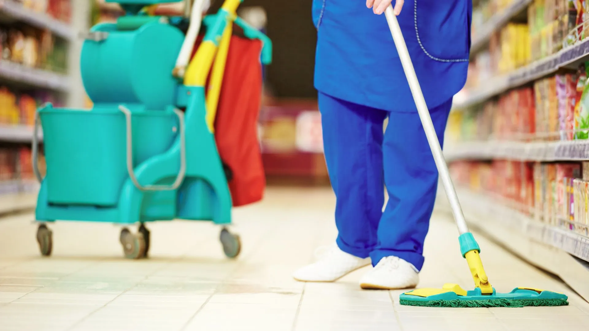 Professional cleaners