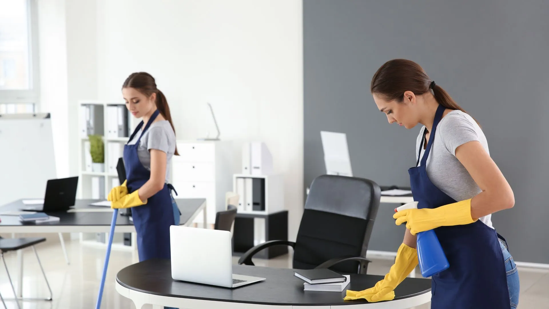 Professional cleaners