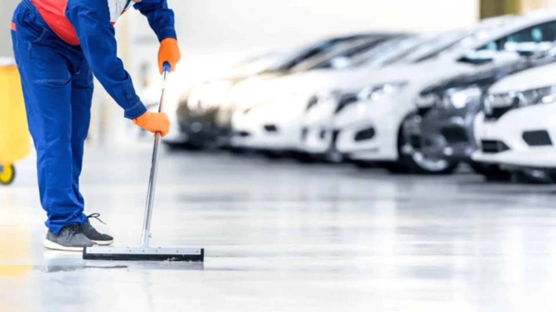 Professional cleaners