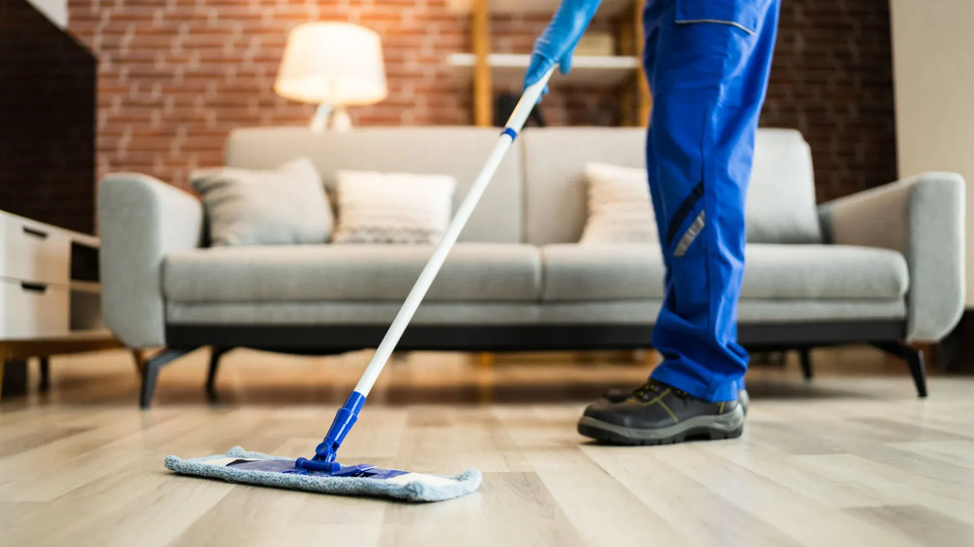 Professional cleaners