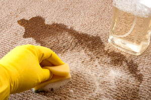 Read more about the article What Is The Easiest And Quickest Way To Get Dent Out Of Carpets?