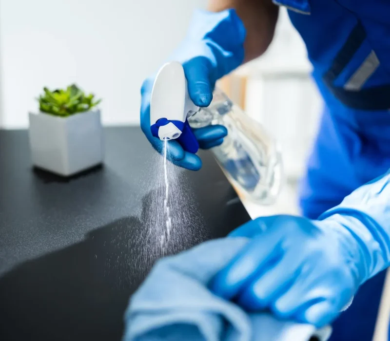 Green Cleaning Services