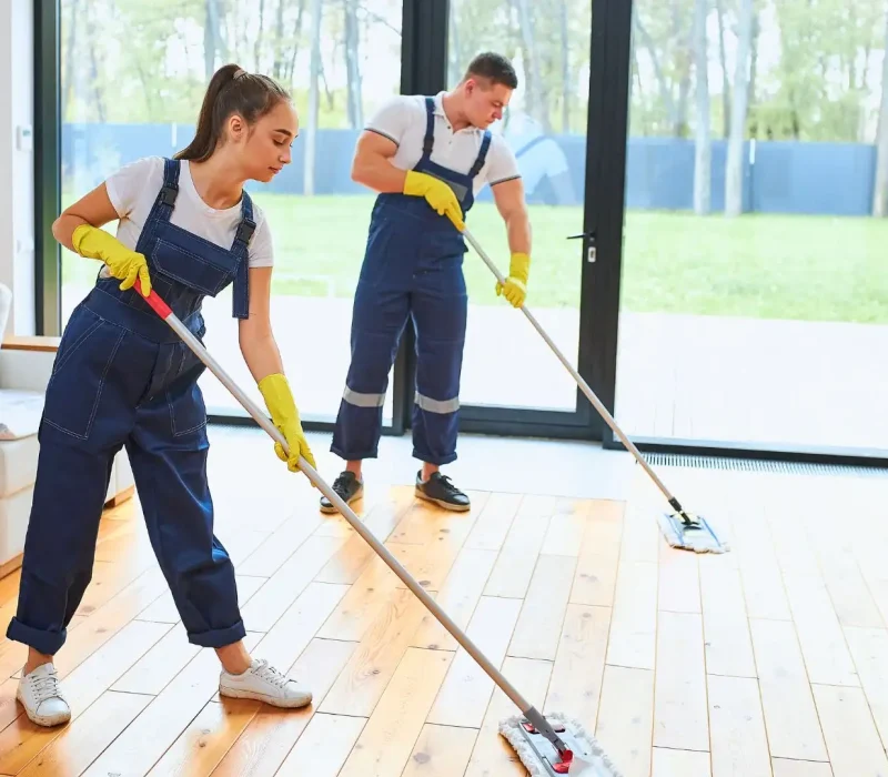 Green Cleaning Services